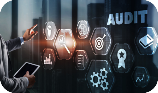 audit 